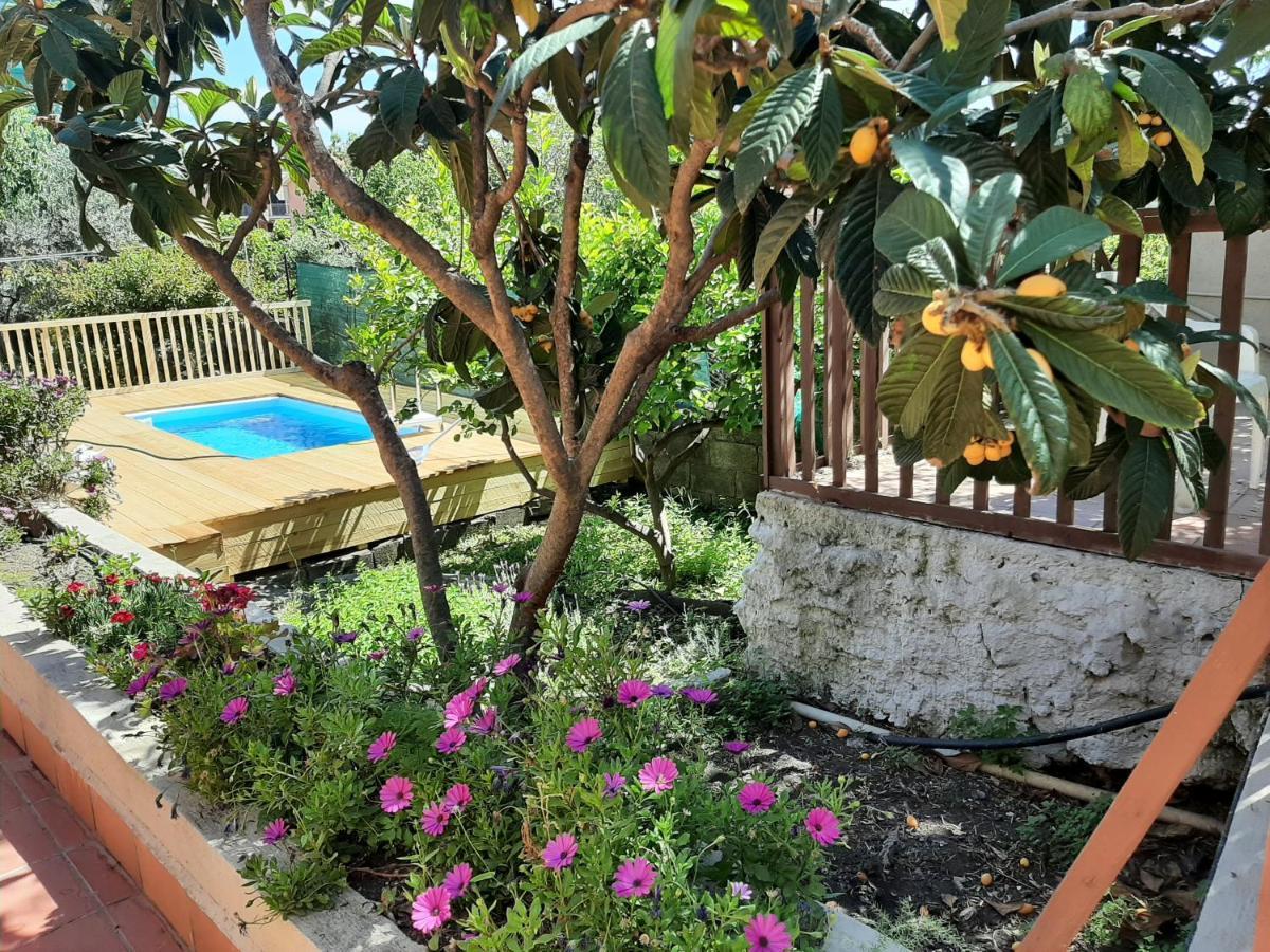 Carrubo - Giardino In Citta Villa CTA Exteriör bild