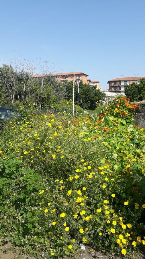 Carrubo - Giardino In Citta Villa CTA Exteriör bild